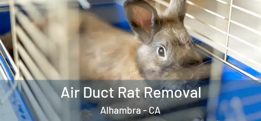 Air Duct Rat Removal Alhambra - CA
