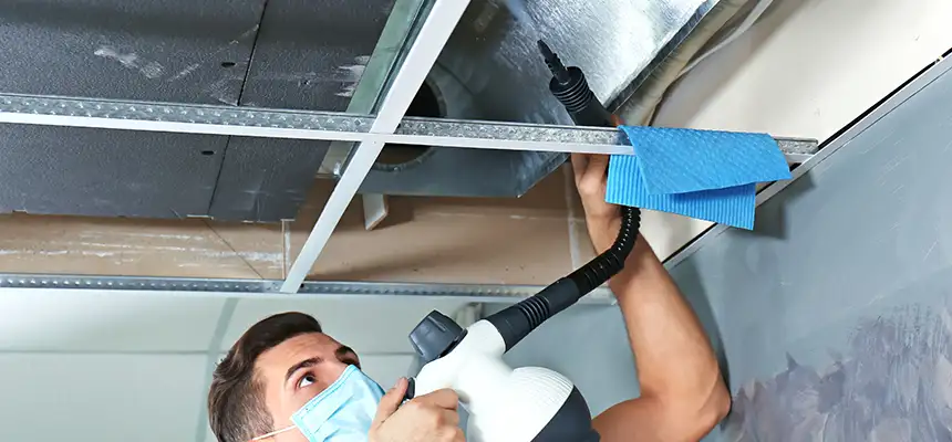 Our Air Duct Rodent Removal Services in Alhambra, CA