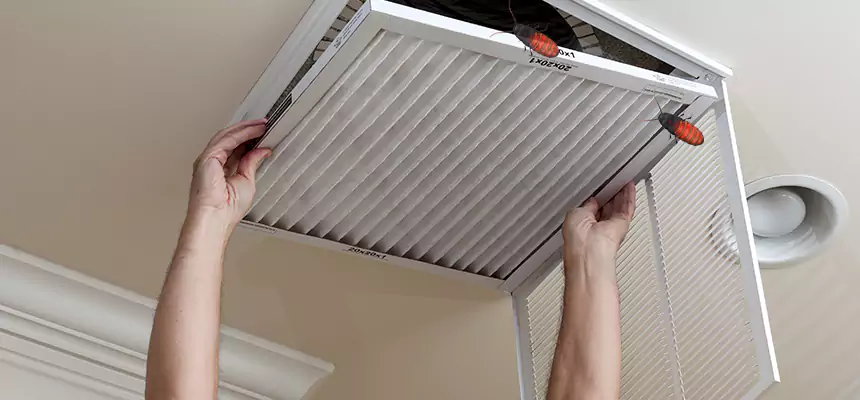 Our Insect Removal from Air Ducts Services in Alhambra, CA