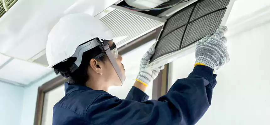 Our Mold & Mildew Removal from Air Ducts Services in Alhambra, CA