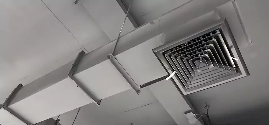 Our Rodent Droppings In Vents Services in Alhambra, CA