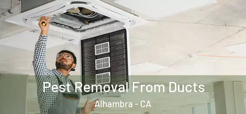 Pest Removal From Ducts Alhambra - CA