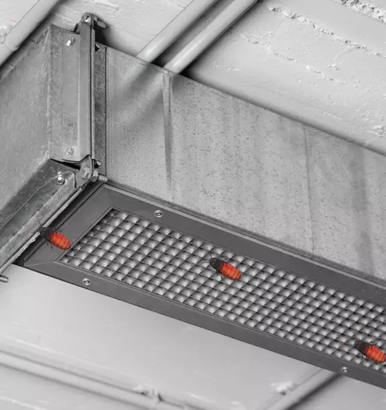 Affordable Insect Removal from Air Ducts in Alhambra, CA