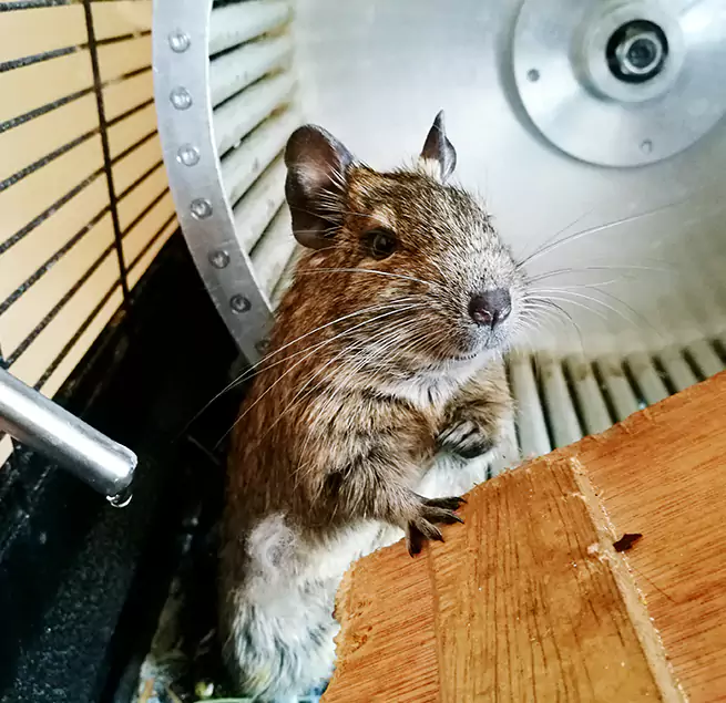 Why Homeowners & Businesses Trust Us Alhambra, CA